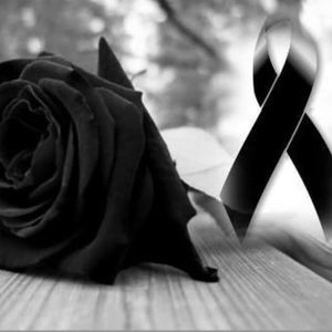 Meet your Posher, Clara